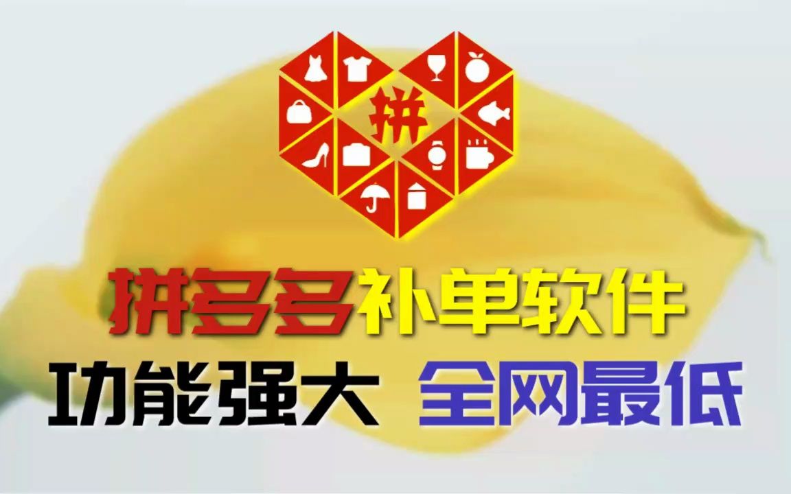 拼多多开拼团单神器丨张志和