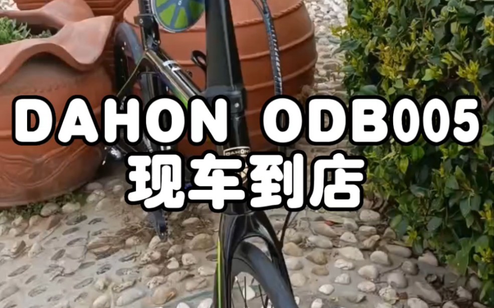 大行 DAHON ODB005 碳纤维折叠车已到店...哔哩哔哩bilibili