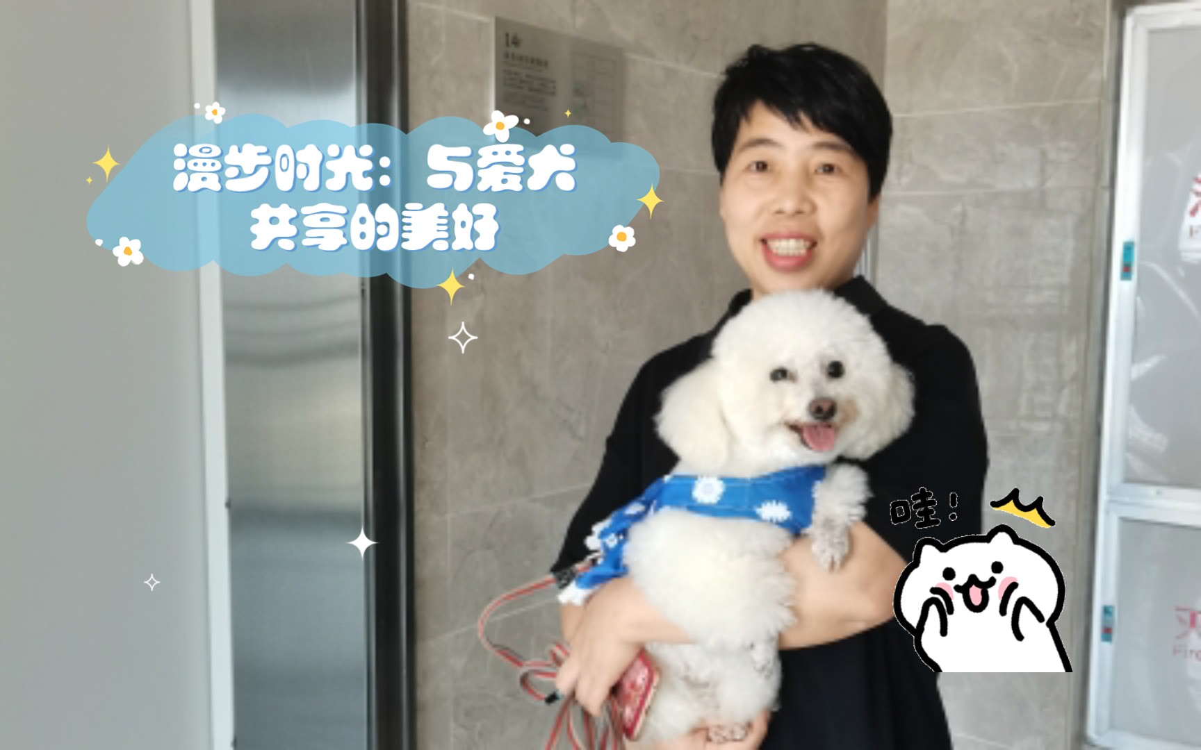 [图]漫步时光：与爱犬共享的美好