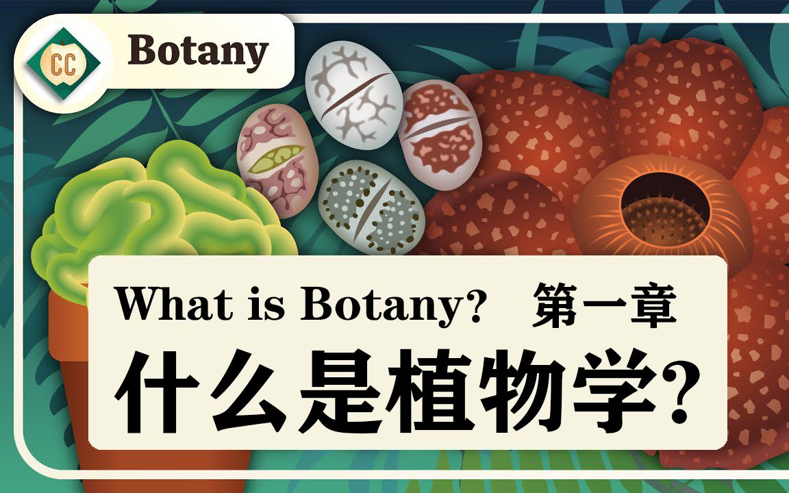 [图]【十分钟速成课：植物学】第1集，什么是植物学?（中英字幕）Crash Course Botany #1