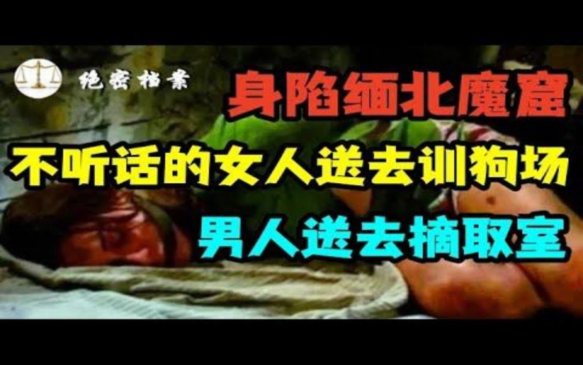 [图]身陷缅北魔窟，不听话的女人送去训狗场，男人送去摘取室