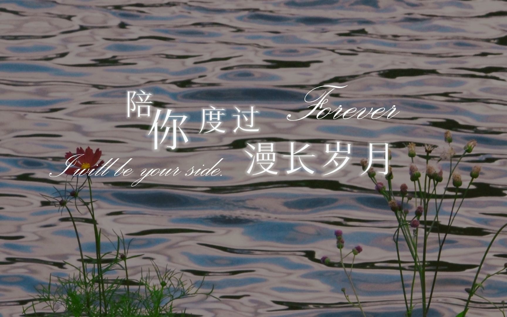 【陪你度过漫长岁月】动态歌词 | 排版分享 | 陪伴你,一直到故事说完