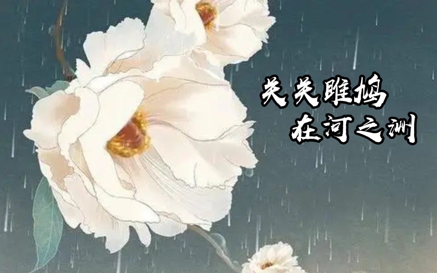 关关雎鸠,在河之洲.—国风ⷥ‘襍—哔哩哔哩bilibili