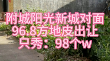 阳光新城对面,国有地出让,96.8方,秀98W,#罗定 #罗定房产 #同城房产哔哩哔哩bilibili