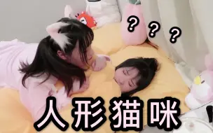 Download Video: 如果你家的猫是人形，草太形象了！