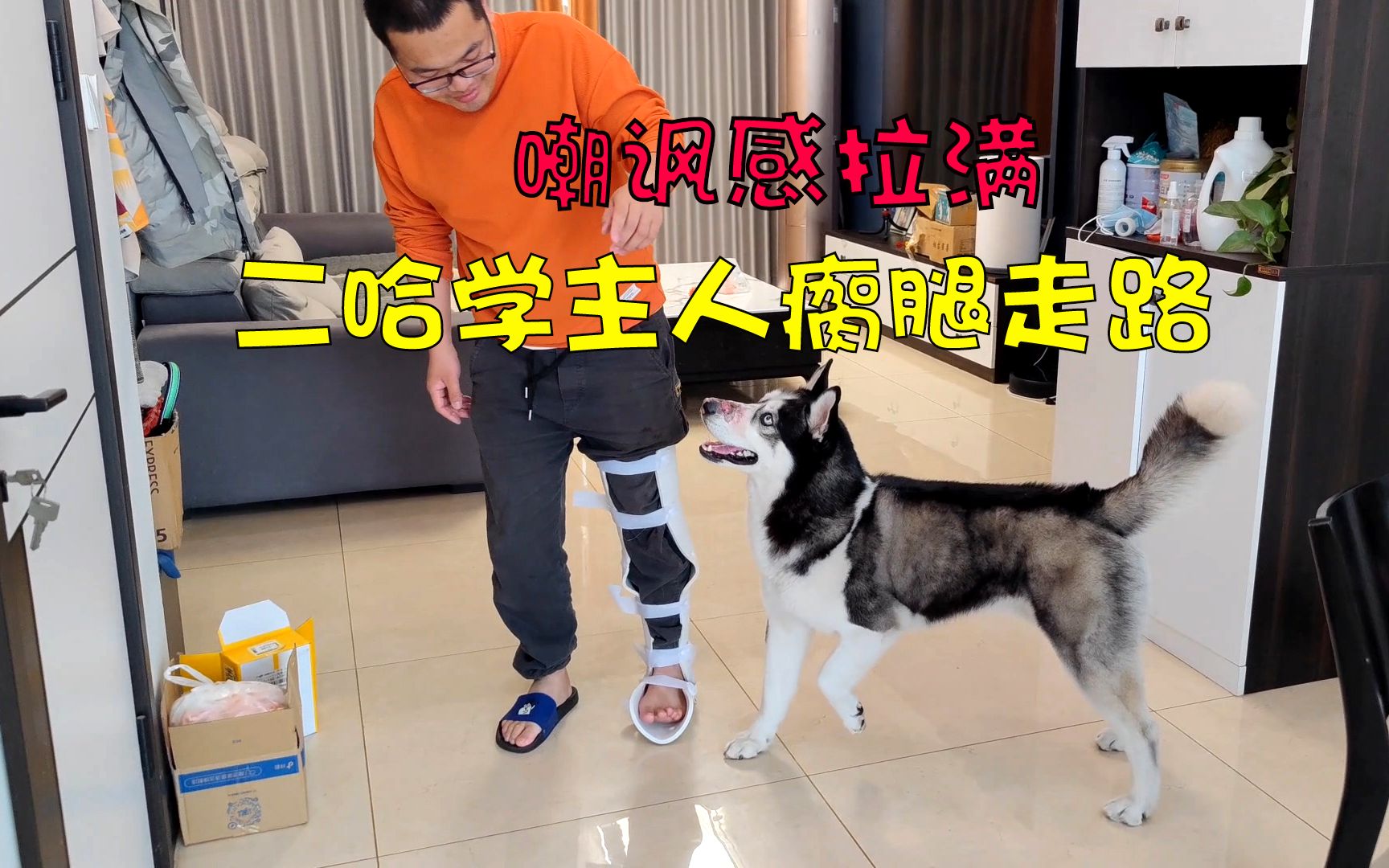 主人脚受伤,二哈却故意学主人一瘸一拐走路,大家千万憋住别笑