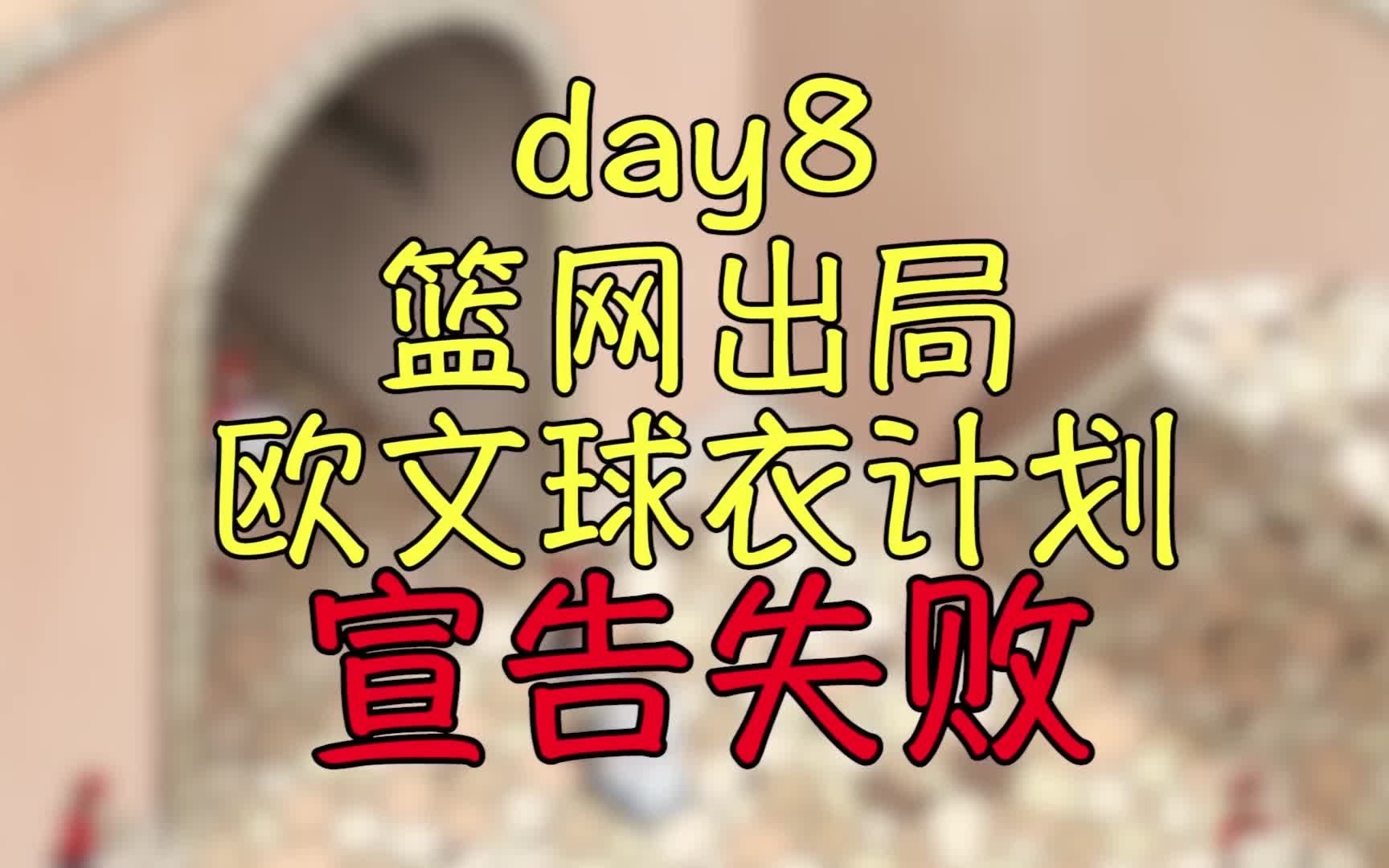 5倍收益率投资挑战day8-篮网出局欧文球衣计划宣告失败