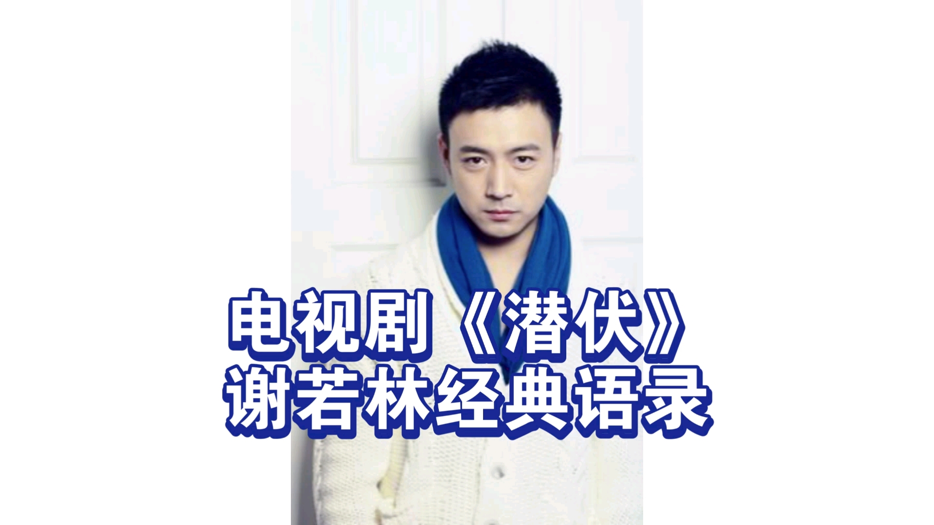 电视剧《潜伏》谢若林经典语录