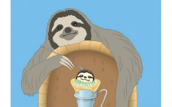 树懒这种生物就是来卖萌的啊!_哔哩哔哩 (゜-゜)つロ 干杯~-bilibili