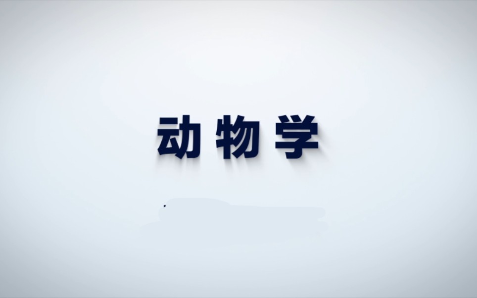 动物学 FDU视频哔哩哔哩bilibili