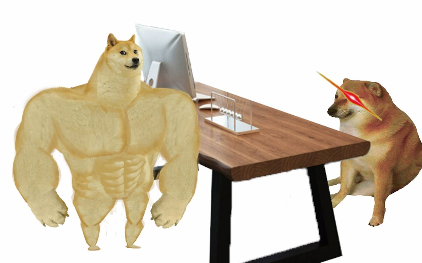 活动作品doge偷看小林家的龙女仆最新一集惨被cheems发现