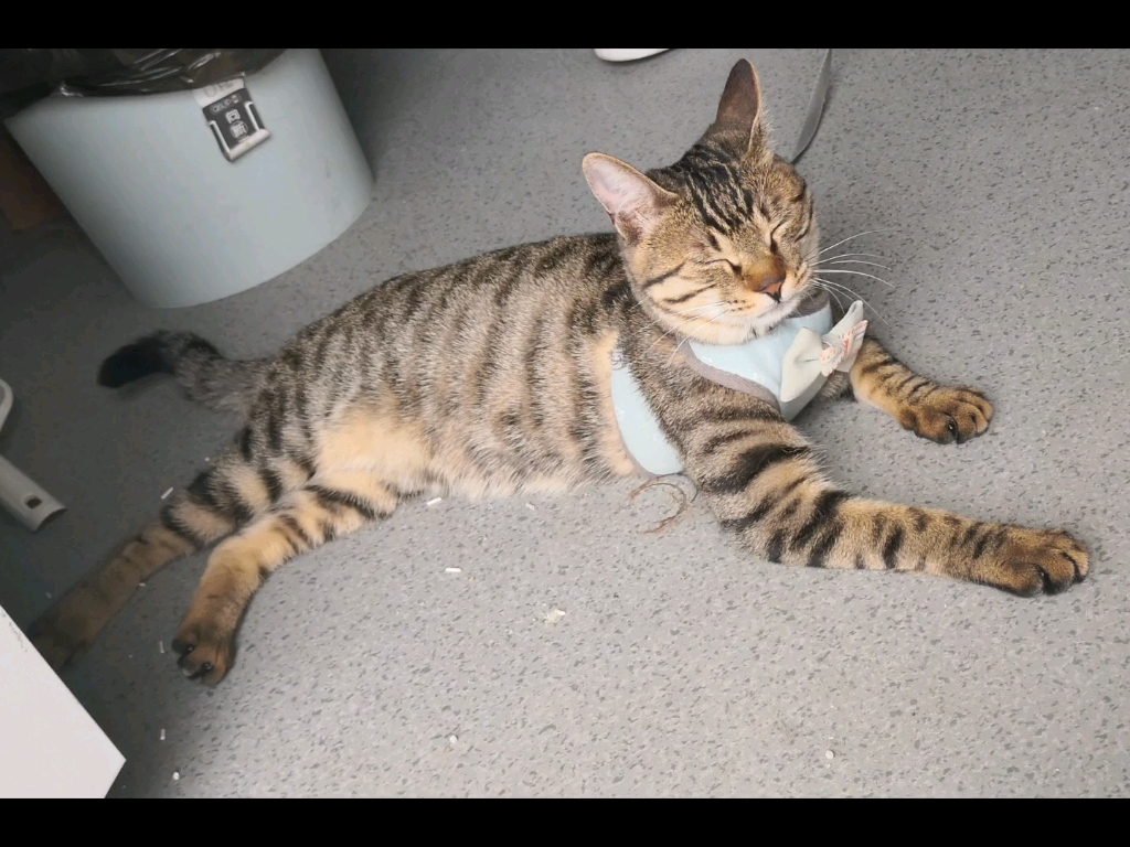 京不开眼_哔哩哔哩_bilibili