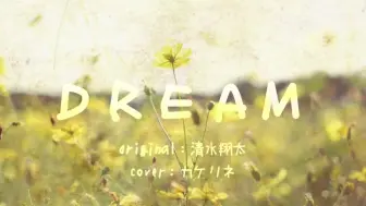 Kobasolo 足立佳奈 Dream 清水翔太 哔哩哔哩 つロ干杯 Bilibili