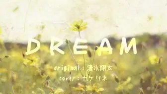 清水翔太 Dream 哔哩哔哩 Bilibili