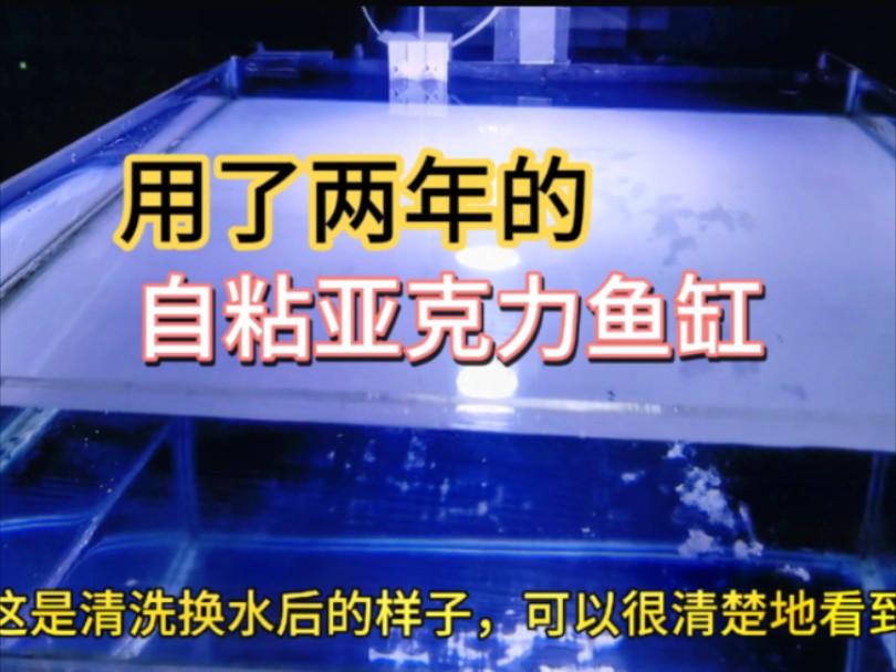 亚克力鱼缸使用两年效果怎样?会不会刮花变形,亚克力鱼缸优缺点哔哩哔哩bilibili