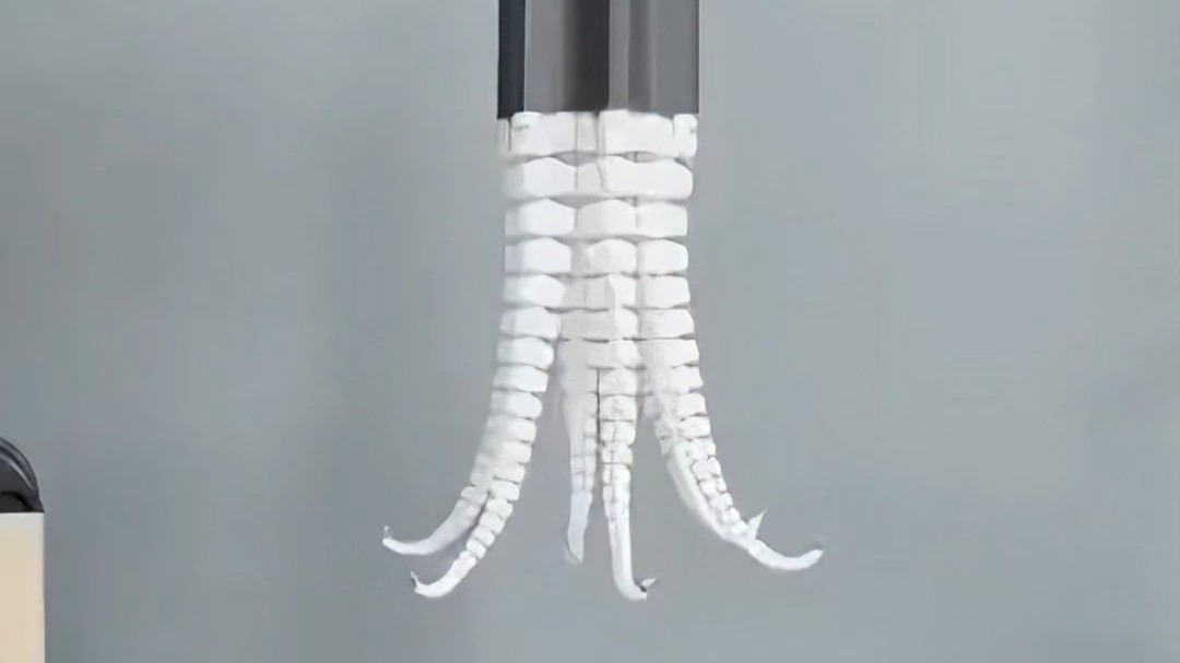 章鱼触手成精了?这款机器人真的逆天!