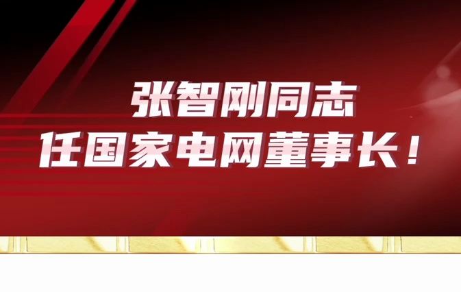 重磅!国网掌门人换帅||国家电网||电网||清华大学||电机系||电气就业指导||电气就业指南||哔哩哔哩bilibili