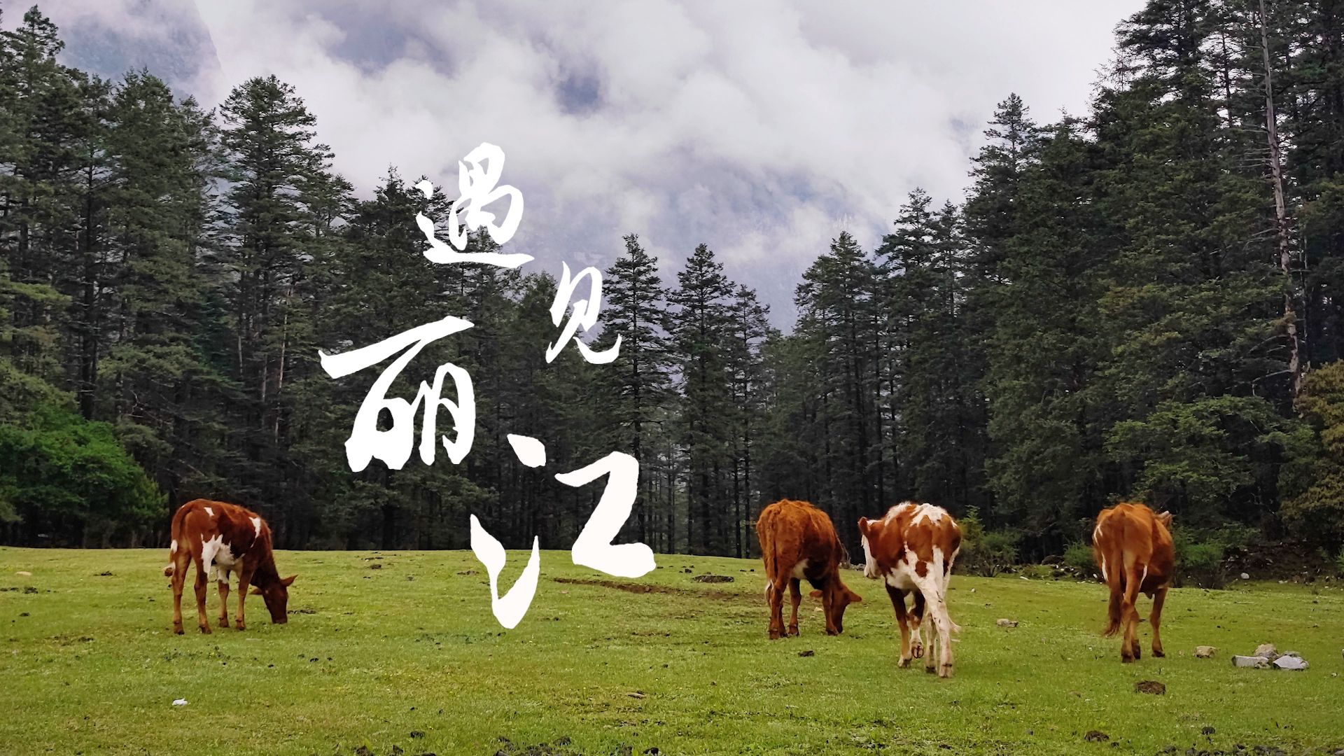 【蜜月旅行】遇见丽江