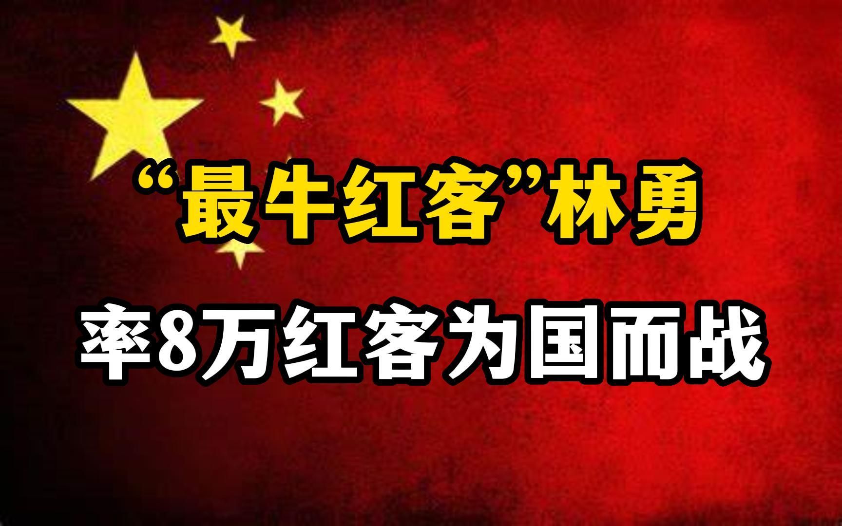 “最牛红客”林勇,率8万红客为国而战,怒将五星红旗挂满美国官网哔哩哔哩bilibili