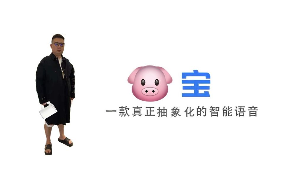 [图]【猪头宝】一款李老八高定的智能语音，真正抽象化