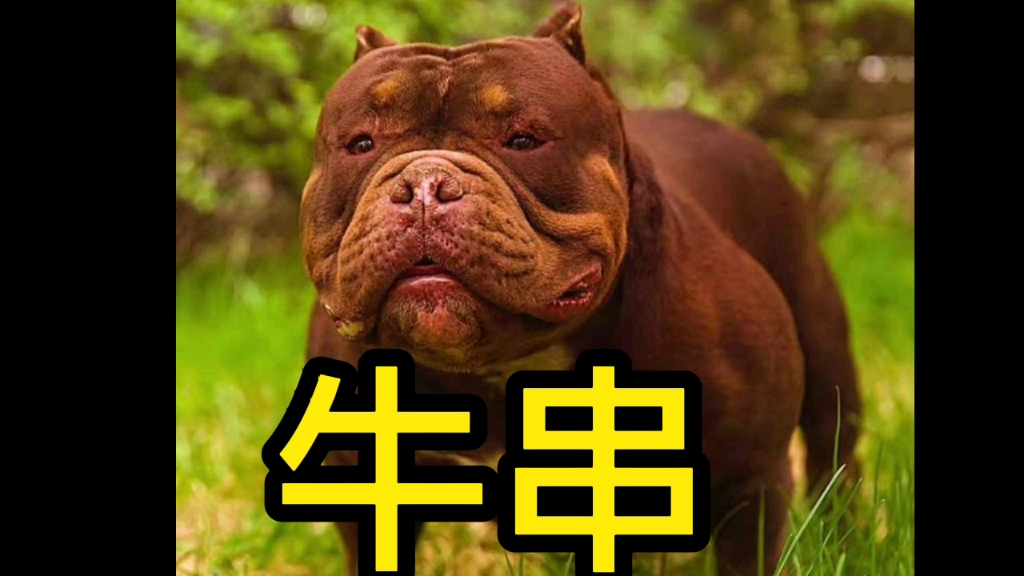 活动作品大哥你玩牛串恶霸你玩它有啥用啊啊