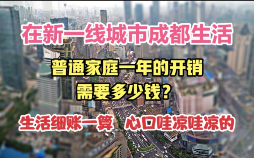 在新一线城市成都生活,普通家庭一年需要多少钱?哔哩哔哩bilibili