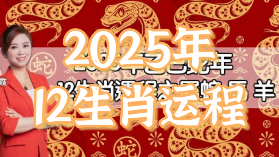 【2025蛇年12生肖运程】乙已蛇年运程逐个看!12生肖鼠牛虎兔龙蛇马羊猴鸡狗猪事业运、爱情运、财运、太岁大解析!哔哩哔哩bilibili