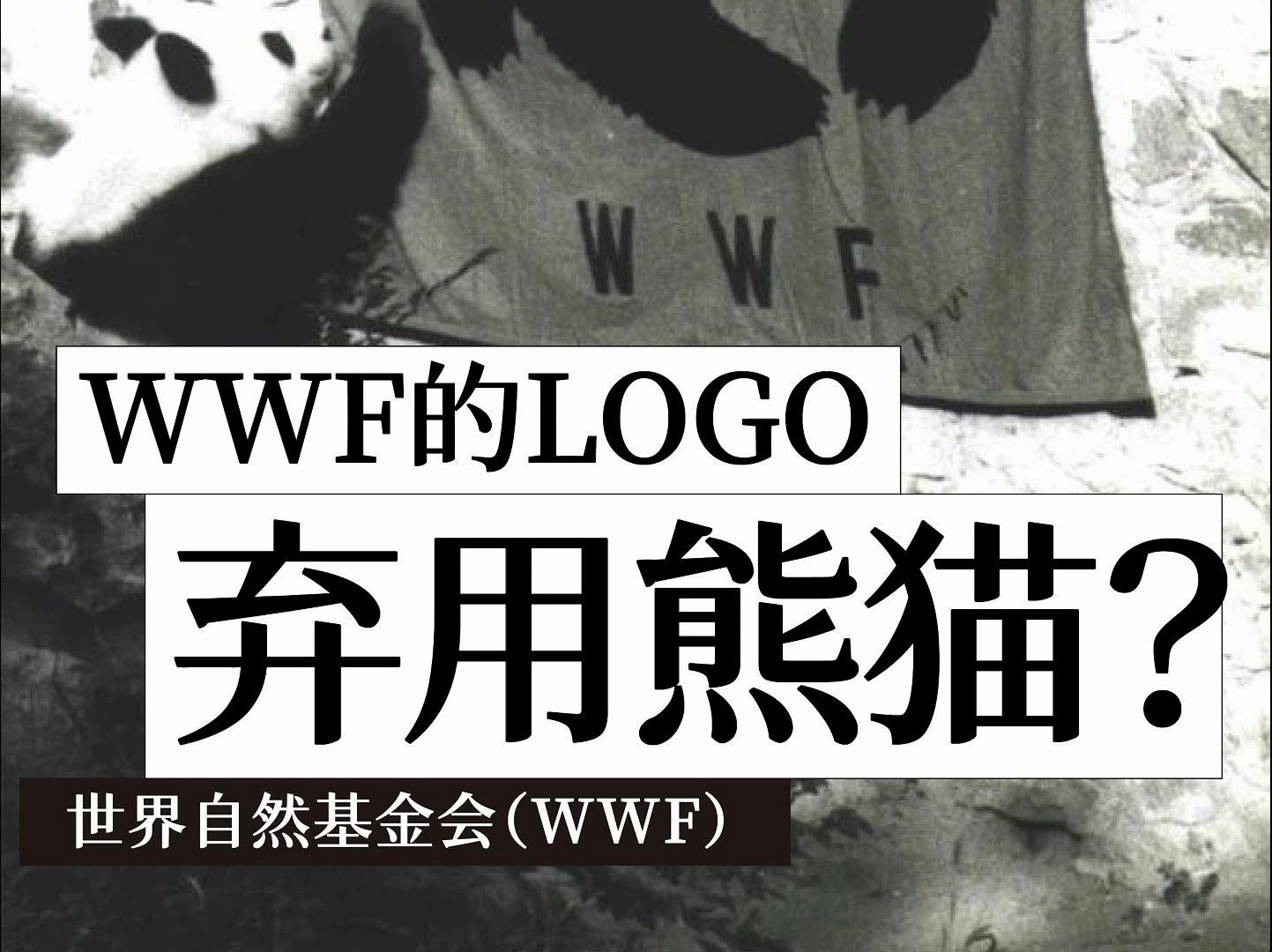 wwf logo哔哩哔哩bilibili