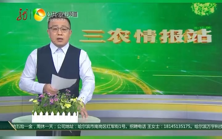 【新农村】三农情报站:本科一批次在黑龙江省招生人数增加.哔哩哔哩bilibili