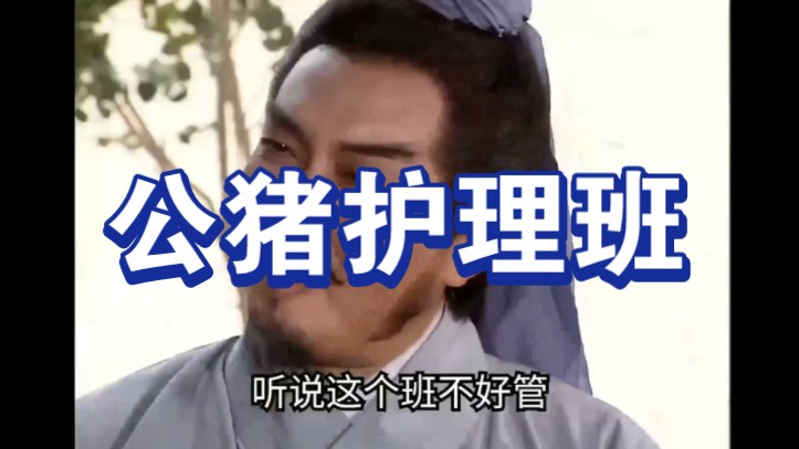 【搞笑三国】诸葛亮应聘担任公猪护理班班主任