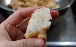 花枝丸 搜索结果 哔哩哔哩 Bilibili