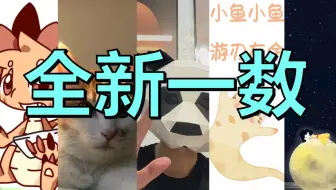 一 数 新 面 孔