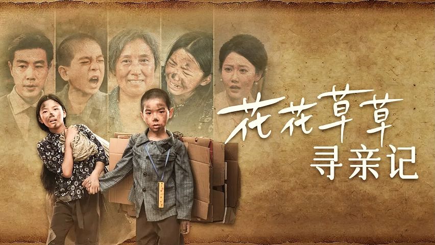 花花x草草x寻亲记《高清-全集-未删减》一口气x看大结局