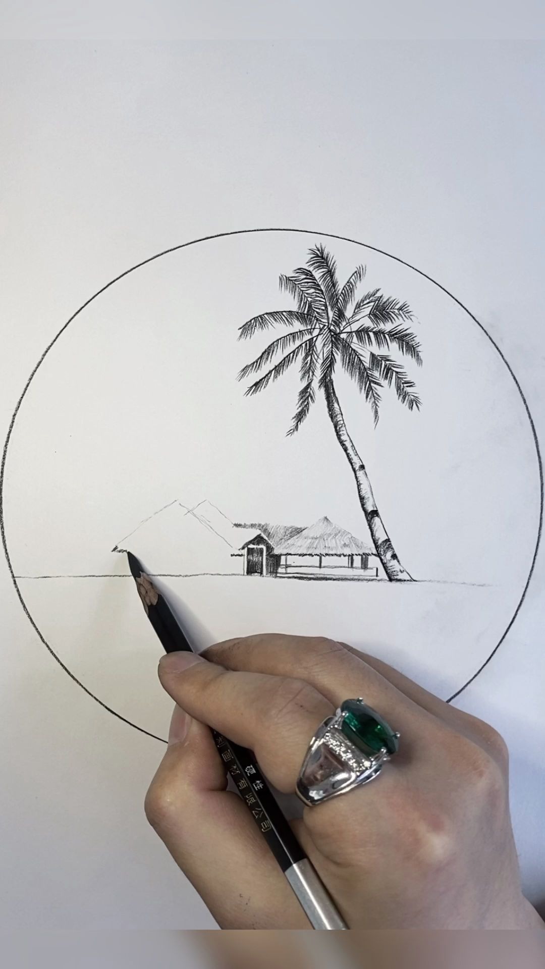 炭笔风景画教程|椰子树