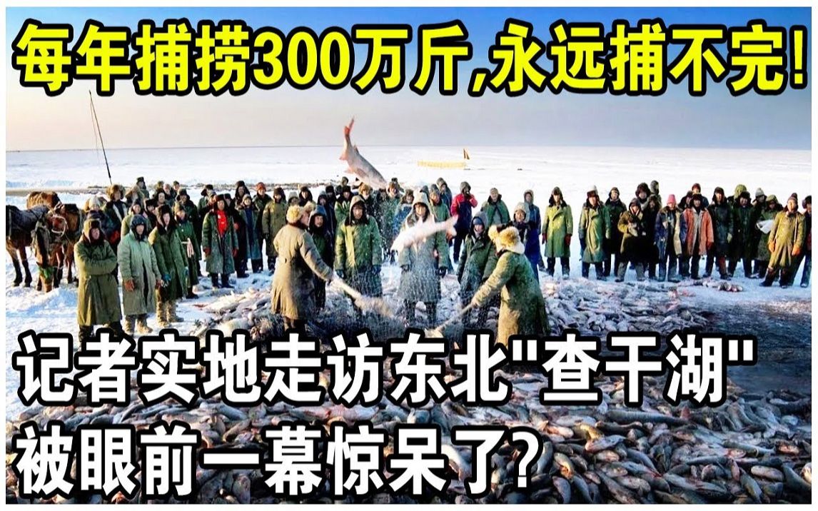 [图]记者实地走访东北“查干湖”，被眼前一幕惊呆了！每年捕捞300万斤鱼，还永远捕不完