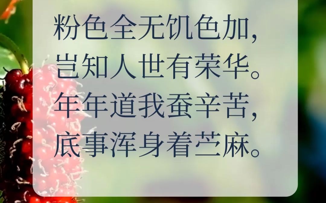 《蚕妇》唐ⷮŠ杜荀鹤哔哩哔哩bilibili