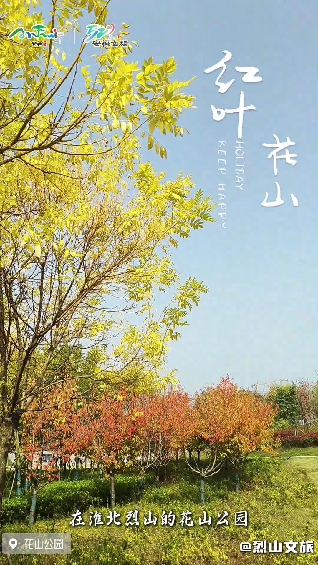 花山超美枫叶林哔哩哔哩bilibili