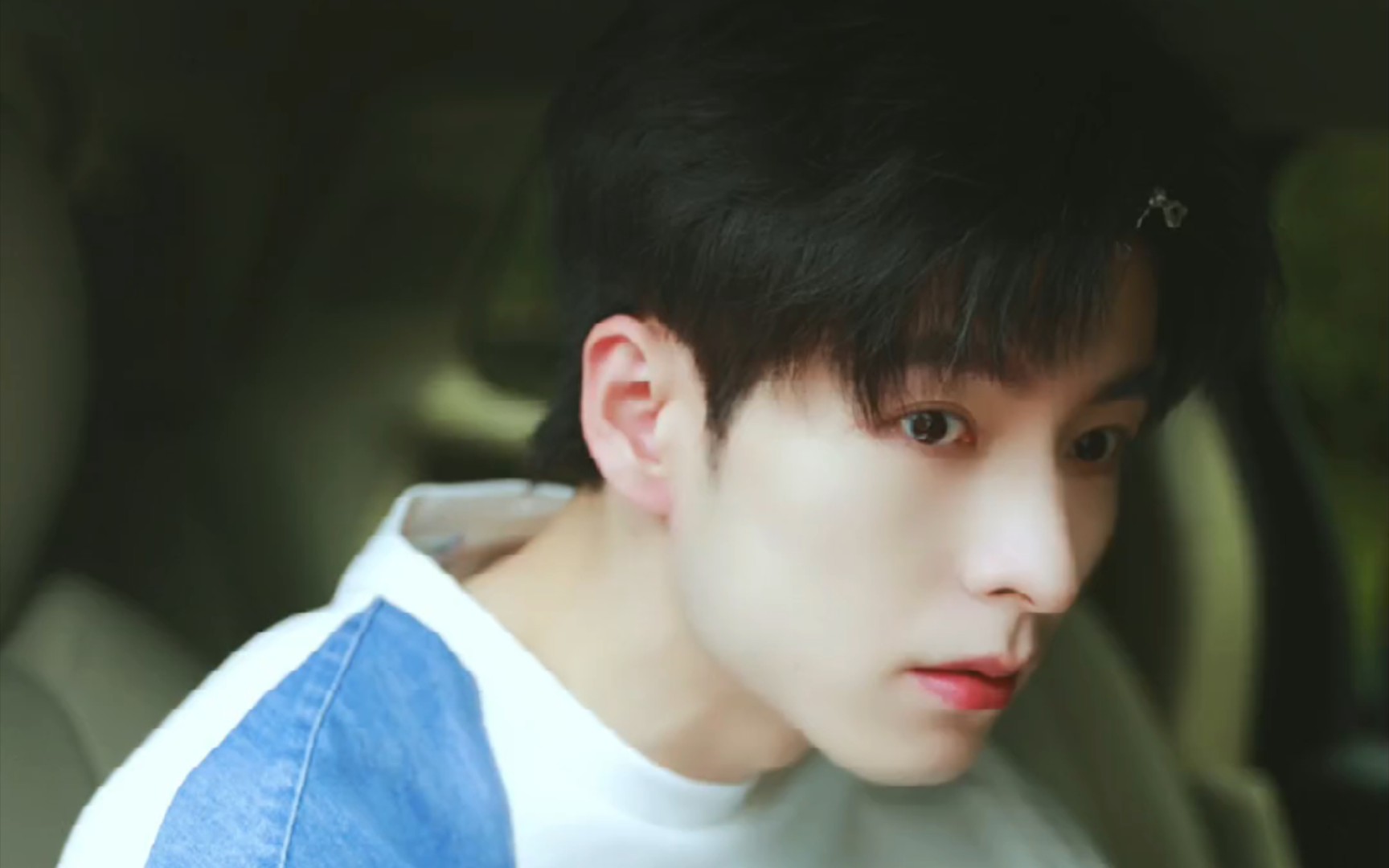 【文韬】好精致的兔子92