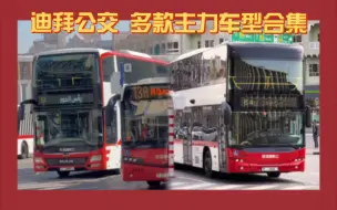 Descargar video: 包含多款神车！迪拜公交(RTA)常见车型合集：尼奥普兰铰接N4521/尼奥普兰双层N4526/曼恩双层A95/VDL CLF 120/沃尔沃单机B8RLE