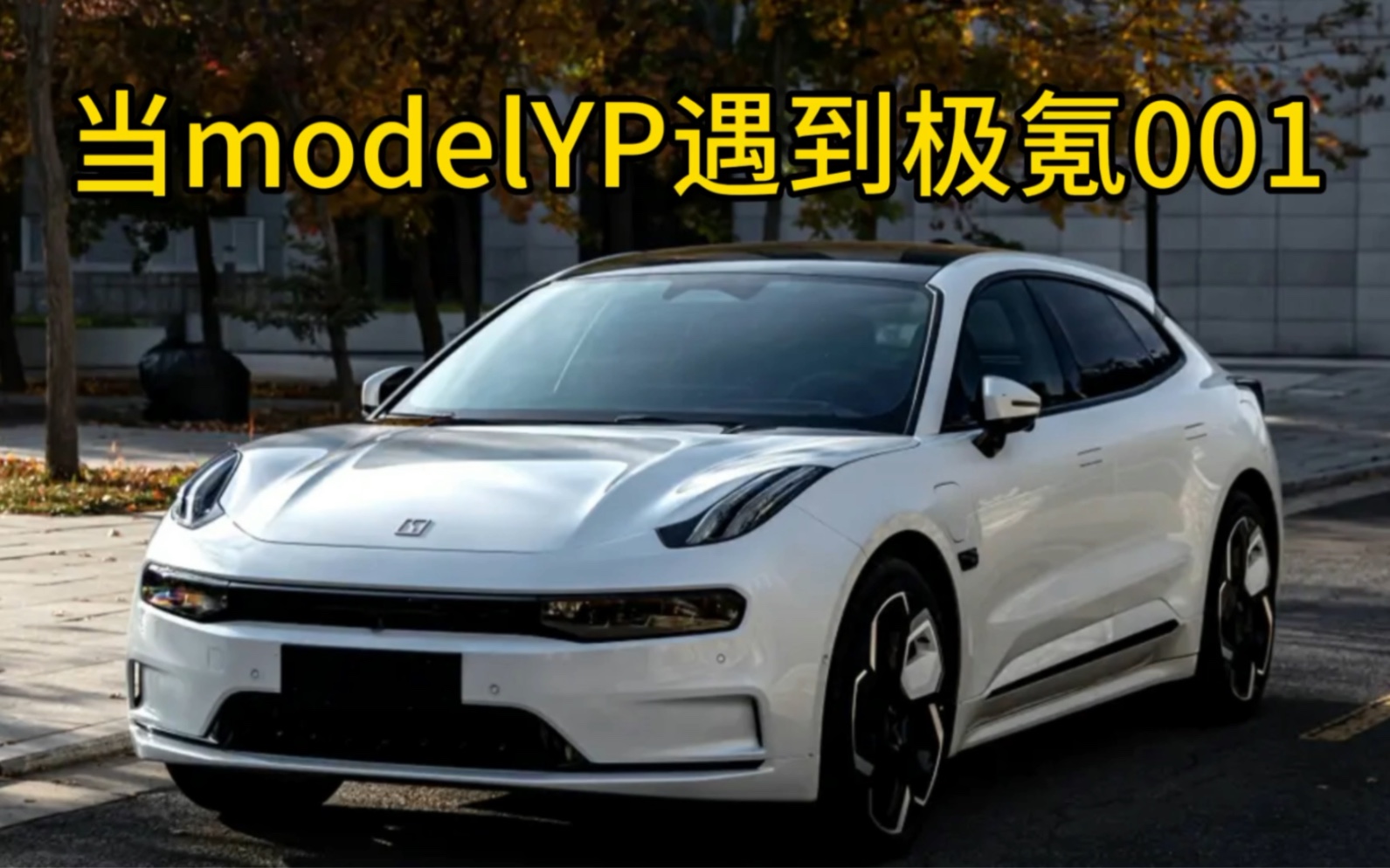 特斯拉modelYP大战极氪001哔哩哔哩bilibili