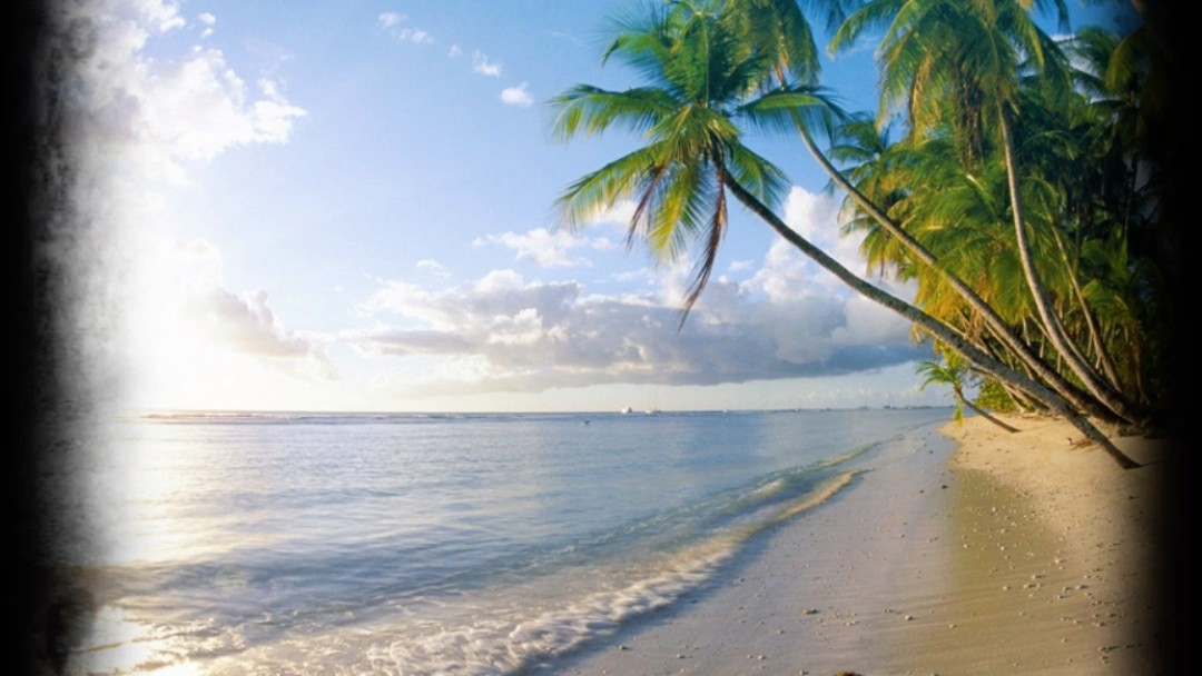 海边的风景 就是海风吹拂