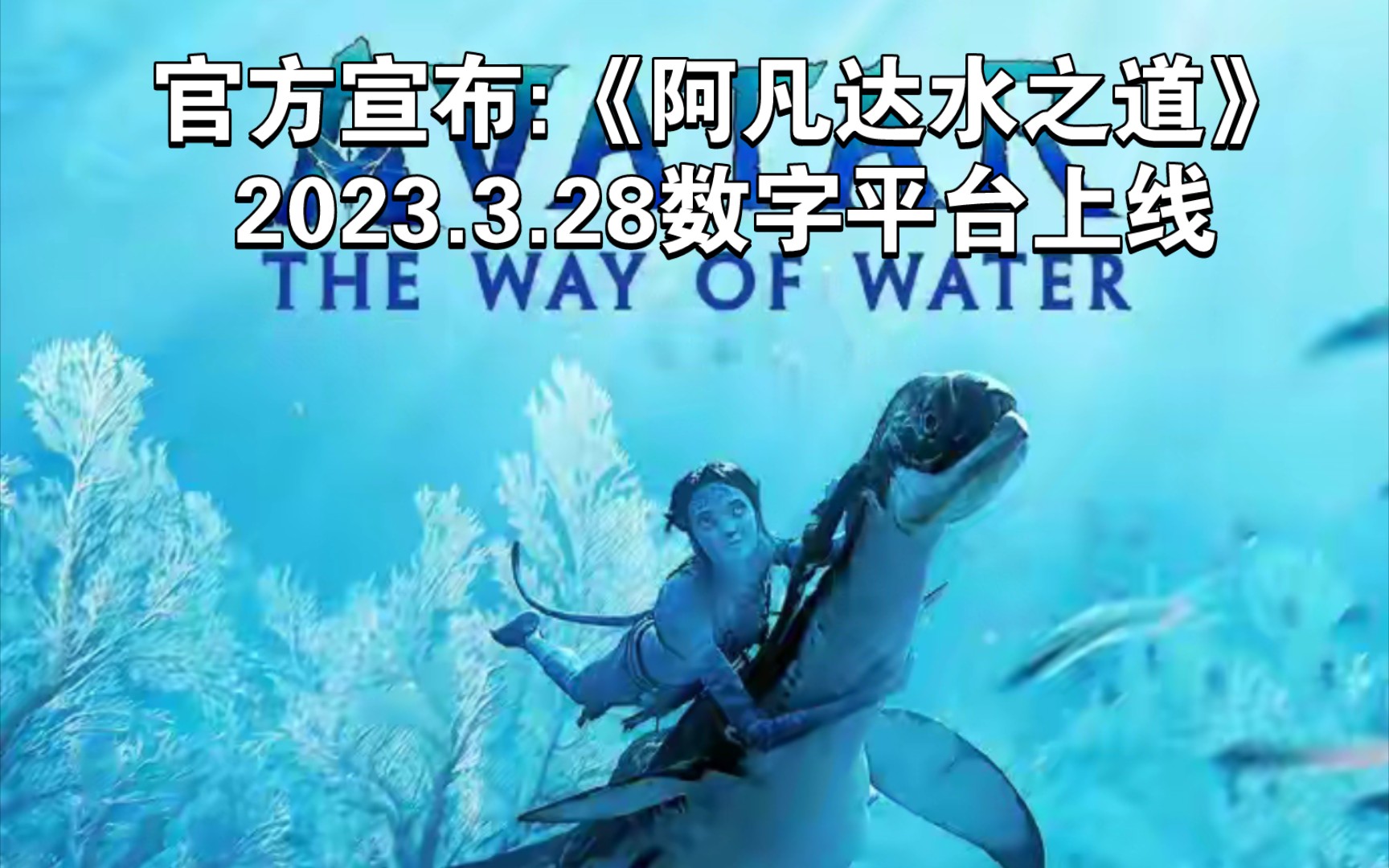 最新:《阿凡达2》3月28日上线 ,包含超过3小时的首次释出额外花絮片段!哔哩哔哩bilibili