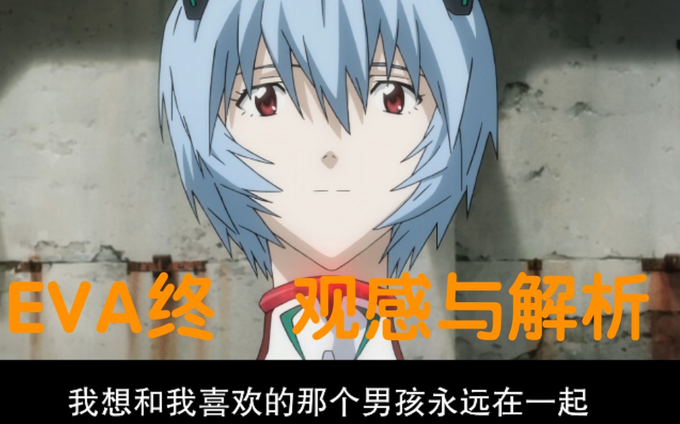 eva终的观感与解读.谢谢你痞子