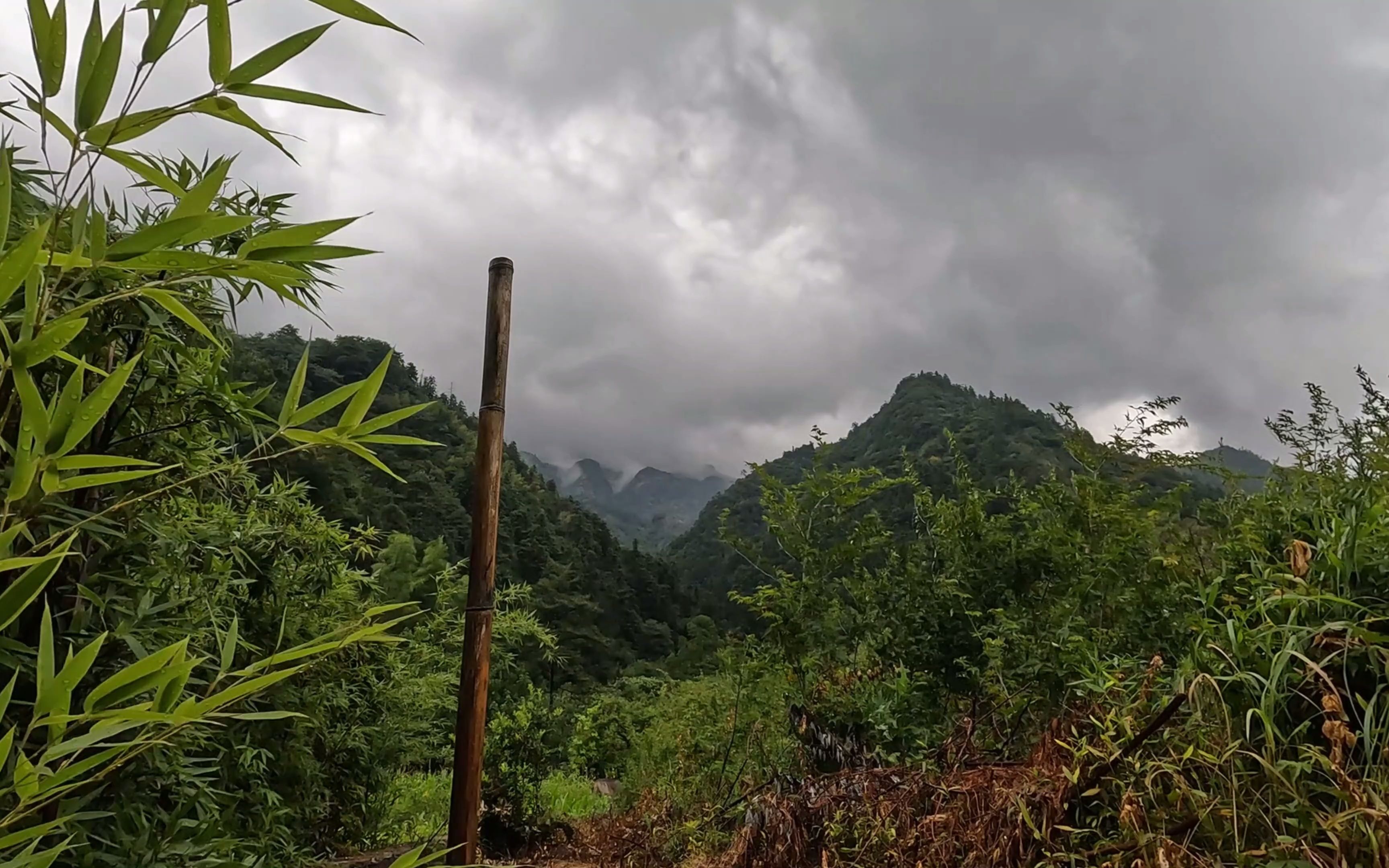 雨后山林图片