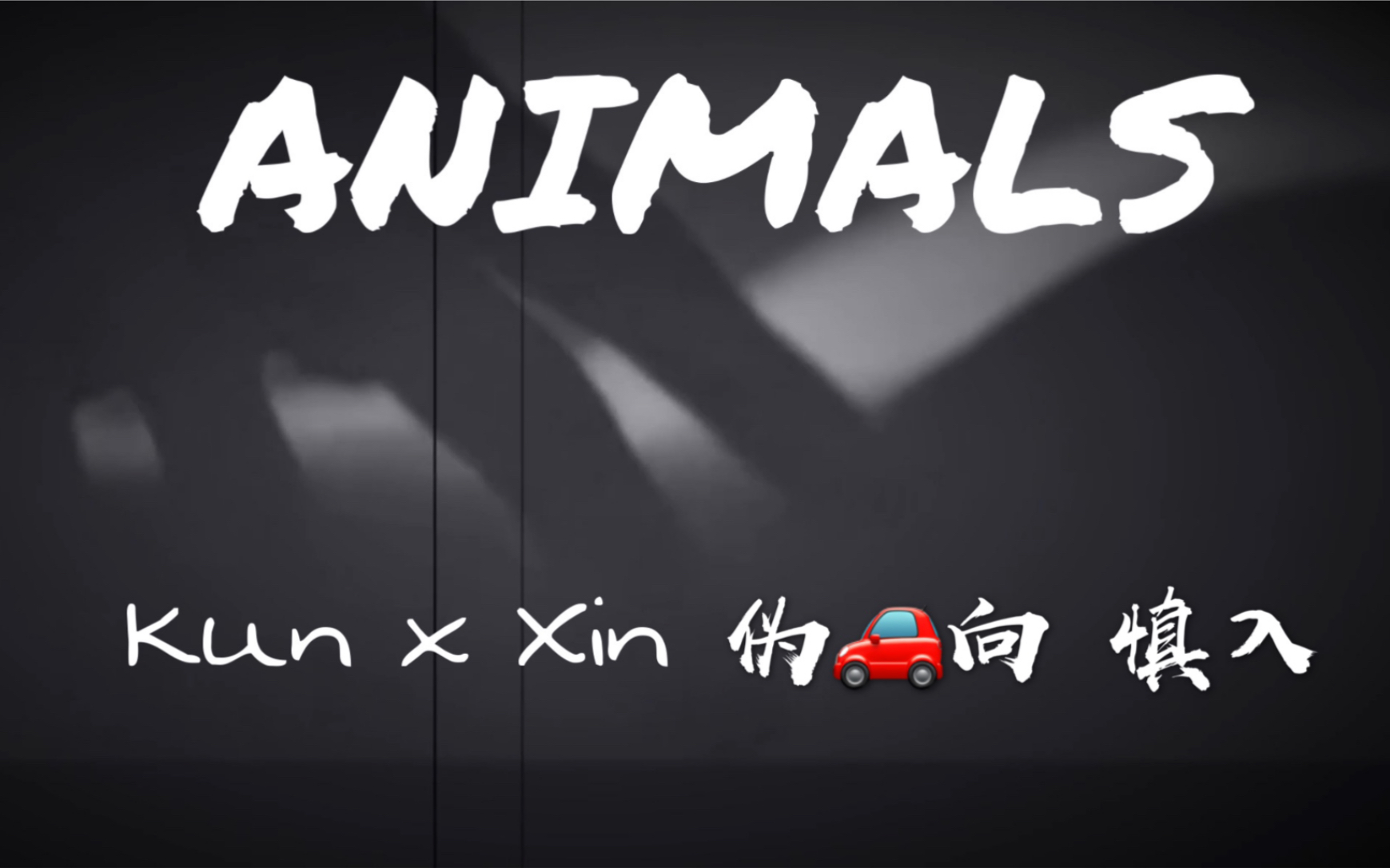 蔡徐坤x刘雨昕坤昕animals车向慎入