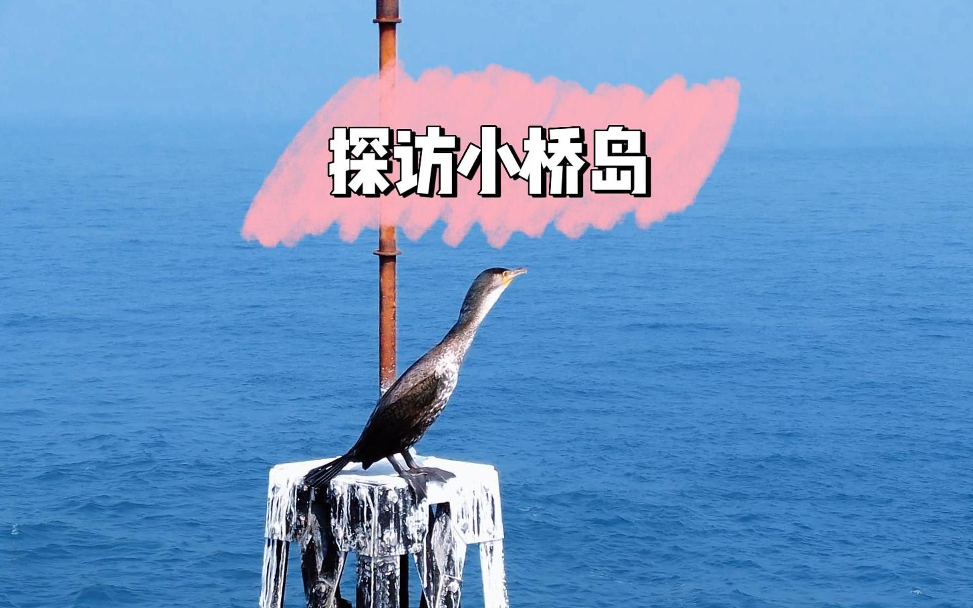 青岛最小的海岛:小桥岛!哔哩哔哩bilibili