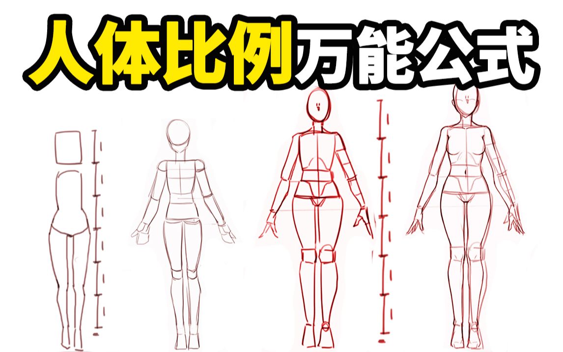 人體比例一套萬能公式零基礎也能掌握人體比例繪畫教程pssai二次元板