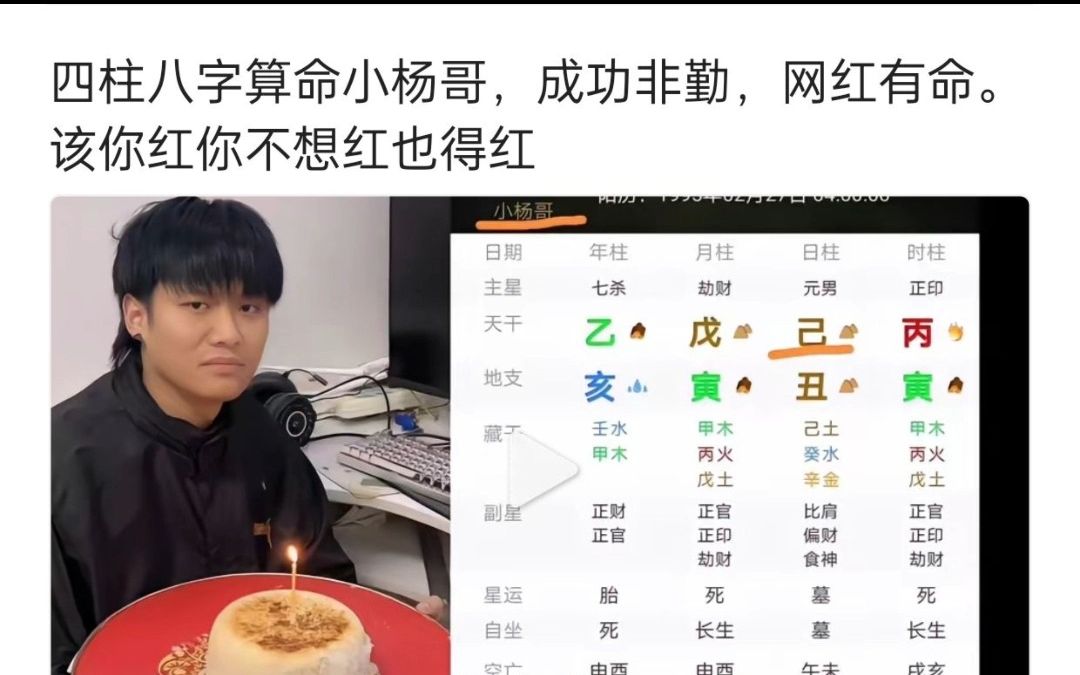 紫微斗数实操案例18:大小杨双胞胎先天运势哔哩哔哩bilibili