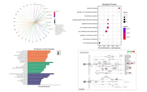 Download Video: 微生信平台在线GO、Pathway富集分析操作及结果说明