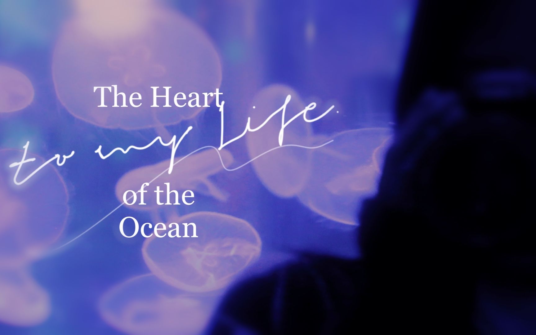 [图]【VLOG×海洋馆】The Heart of the Ocean.